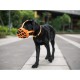 BARKLESS Dog Muzzle, Soft Silicone Basket Muzzle for Dogs, Allows Panting and Drinking, Prevents Unwanted Barking, Biting and Chewing, Includes Collar and Training Guide BARKLESS Dog Muzzle, Soft Silicone Basket Muzzle for Dogs, Allows Panting and Drinking, Prevents Unwanted Barking, Biting and Chewing, Includes Collar and Training Guide