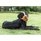 BARKLESS Dog Muzzle, Soft Silicone Basket Muzzle for Dogs, Allows Panting and Drinking, Prevents Unwanted Barking, Biting and Chewing, Includes Collar and Training Guide BARKLESS Dog Muzzle, Soft Silicone Basket Muzzle for Dogs, Allows Panting and Drinking, Prevents Unwanted Barking, Biting and Chewing, Includes Collar and Training Guide