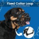 BARKLESS Dog Muzzle Soft Silicone Dog Muzzle Prevent Biting Chewing and Barking Allows Drinking and Panting Used with Collar BARKLESS Dog Muzzle Soft Silicone Dog Muzzle Prevent Biting Chewing and Barking Allows Drinking and Panting Used with Collar