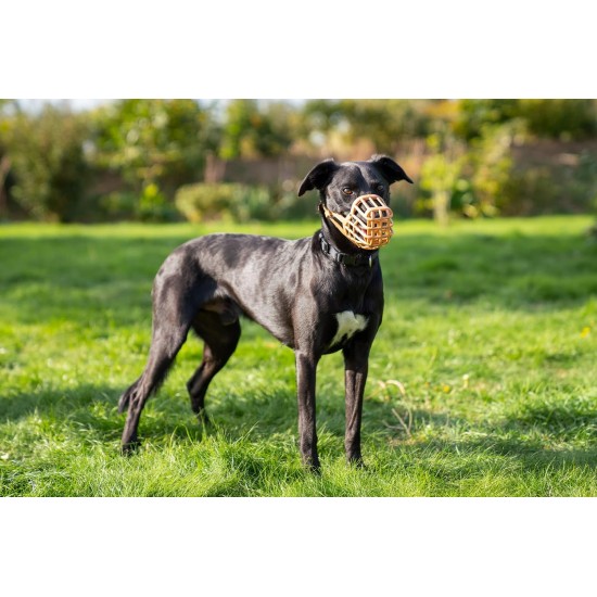 BASKERVILLE CLASSIC MUZZLE - Allows Panting and Drinking, Prevents Biting and Browsing for Food, Ideal for Dogs with Long Noses, Training Muzzle for Large Dogs (Size 9) BASKERVILLE CLASSIC MUZZLE - Allows Panting and Drinking, Prevents Biting and Browsing for Food, Ideal for Dogs with Long Noses, Training Muzzle for Large Dogs (Size 9)