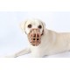 BASKERVILLE CLASSIC MUZZLE - Allows Panting and Drinking, Prevents Biting and Browsing for Food, Ideal for Dogs with Long Noses, Training Muzzle for Large Dogs (Size 9)