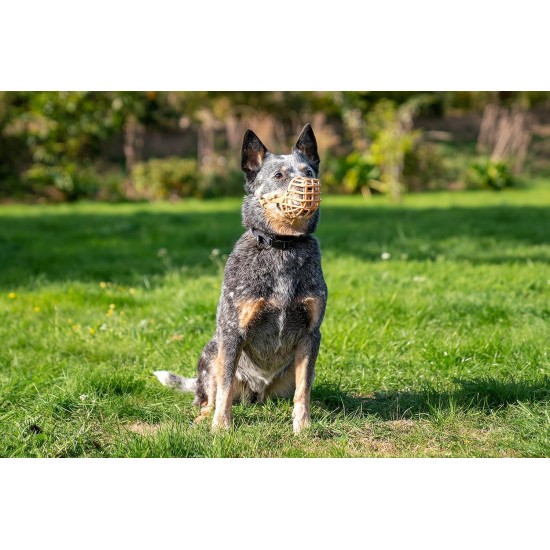 BASKERVILLE CLASSIC MUZZLE - Allows Panting and Drinking, Prevents Biting and Browsing for Food, Ideal for Dogs with Long Noses, Training Muzzle for Large Dogs (Size 9) BASKERVILLE CLASSIC MUZZLE - Allows Panting and Drinking, Prevents Biting and Browsing for Food, Ideal for Dogs with Long Noses, Training Muzzle for Large Dogs (Size 9)