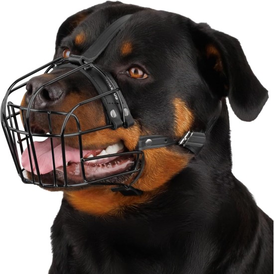 BRONZEDOG Dog Muzzle Adjustable Robust PVC/Metal Wire Basket for Large and Very Large Dogs with Leather Straps Breathable, Drinkable, Training, Prevents Biting (Great Dane, Stainless Steel) BRONZEDOG Dog Muzzle Adjustable Robust PVC/Metal Wire Basket for Large and Very Large Dogs with Leather Straps Breathable, Drinkable, Training, Prevents Biting (Great Dane, Stainless Steel)
