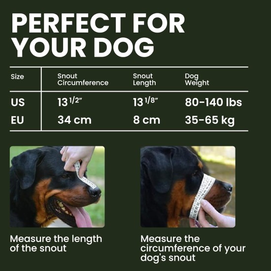 BRONZEDOG Dog Muzzle Adjustable Robust PVC/Metal Wire Basket for Large and Very Large Dogs with Leather Straps Breathable, Drinkable, Training, Prevents Biting (Great Dane, Stainless Steel) BRONZEDOG Dog Muzzle Adjustable Robust PVC/Metal Wire Basket for Large and Very Large Dogs with Leather Straps Breathable, Drinkable, Training, Prevents Biting (Great Dane, Stainless Steel)