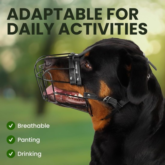 BRONZEDOG Dog Muzzle Adjustable Robust PVC/Metal Wire Basket for Large and Very Large Dogs with Leather Straps Breathable, Drinkable, Training, Prevents Biting (Great Dane, Stainless Steel) BRONZEDOG Dog Muzzle Adjustable Robust PVC/Metal Wire Basket for Large and Very Large Dogs with Leather Straps Breathable, Drinkable, Training, Prevents Biting (Great Dane, Stainless Steel)