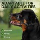 BRONZEDOG Dog Muzzle Adjustable Robust PVC/Metal Wire Basket for Large and Very Large Dogs with Leather Straps Breathable, Drinkable, Training, Prevents Biting (Great Dane, Stainless Steel)