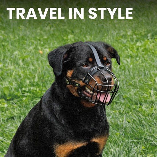 BRONZEDOG Dog Muzzle Adjustable Robust PVC/Metal Wire Basket for Large and Very Large Dogs with Leather Straps Breathable, Drinkable, Training, Prevents Biting (Great Dane, Stainless Steel) BRONZEDOG Dog Muzzle Adjustable Robust PVC/Metal Wire Basket for Large and Very Large Dogs with Leather Straps Breathable, Drinkable, Training, Prevents Biting (Great Dane, Stainless Steel)