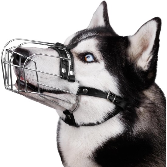 BRONZEDOG Dog Muzzle Adjustable Robust PVC/Metal Wire Basket for Large and Very Large Dogs with Leather Straps Breathable, Drinkable, Training, Prevents Biting (Great Dane, Stainless Steel) BRONZEDOG Dog Muzzle Adjustable Robust PVC/Metal Wire Basket for Large and Very Large Dogs with Leather Straps Breathable, Drinkable, Training, Prevents Biting (Great Dane, Stainless Steel)