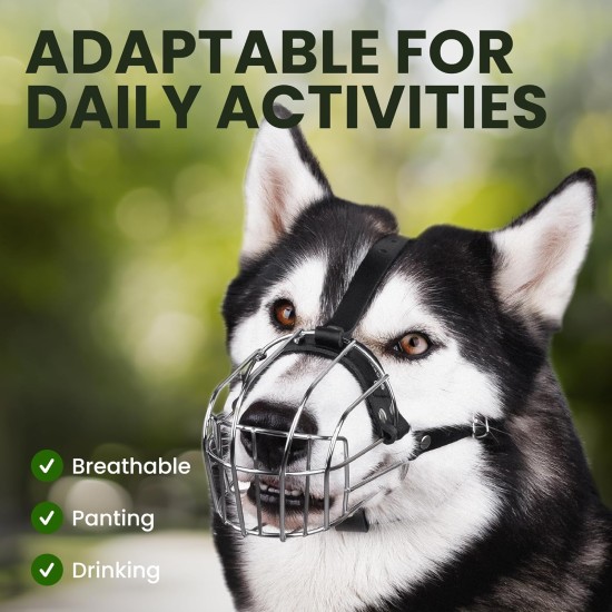 BRONZEDOG Dog Muzzle Adjustable Robust PVC/Metal Wire Basket for Large and Very Large Dogs with Leather Straps Breathable, Drinkable, Training, Prevents Biting (Great Dane, Stainless Steel) BRONZEDOG Dog Muzzle Adjustable Robust PVC/Metal Wire Basket for Large and Very Large Dogs with Leather Straps Breathable, Drinkable, Training, Prevents Biting (Great Dane, Stainless Steel)