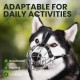 BRONZEDOG Dog Muzzle Adjustable Robust PVC/Metal Wire Basket for Large and Very Large Dogs with Leather Straps Breathable, Drinkable, Training, Prevents Biting (Great Dane, Stainless Steel)