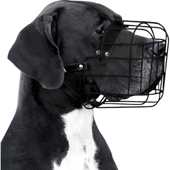 BRONZEDOG Dog Muzzle Adjustable Robust PVC/Metal Wire Basket for Large and Very Large Dogs with Leather Straps Breathable, Drinkable, Training, Prevents Biting (Great Dane, Stainless Steel) BRONZEDOG Dog Muzzle Adjustable Robust PVC/Metal Wire Basket for Large and Very Large Dogs with Leather Straps Breathable, Drinkable, Training, Prevents Biting (Great Dane, Stainless Steel)