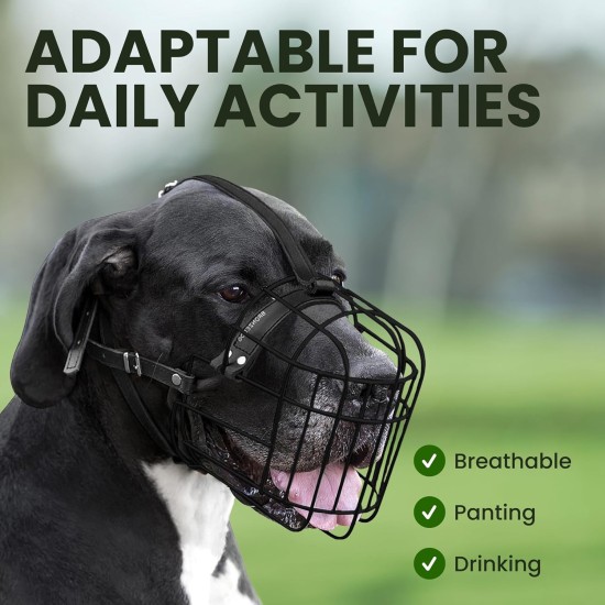 BRONZEDOG Dog Muzzle Adjustable Robust PVC/Metal Wire Basket for Large and Very Large Dogs with Leather Straps Breathable, Drinkable, Training, Prevents Biting (Great Dane, Stainless Steel) BRONZEDOG Dog Muzzle Adjustable Robust PVC/Metal Wire Basket for Large and Very Large Dogs with Leather Straps Breathable, Drinkable, Training, Prevents Biting (Great Dane, Stainless Steel)
