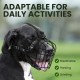 BRONZEDOG Dog Muzzle Adjustable Robust PVC/Metal Wire Basket for Large and Very Large Dogs with Leather Straps Breathable, Drinkable, Training, Prevents Biting (Great Dane, Stainless Steel)