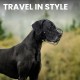 BRONZEDOG Dog Muzzle Adjustable Robust PVC/Metal Wire Basket for Large and Very Large Dogs with Leather Straps Breathable, Drinkable, Training, Prevents Biting (Great Dane, Stainless Steel)
