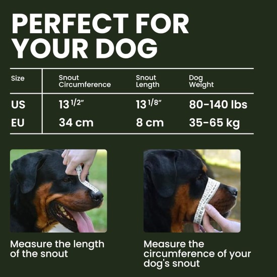 BRONZEDOG Dog Muzzle Adjustable Robust PVC/Metal Wire Basket for Large and Very Large Dogs with Leather Straps Breathable, Drinkable, Training, Prevents Biting (Great Dane, Stainless Steel) BRONZEDOG Dog Muzzle Adjustable Robust PVC/Metal Wire Basket for Large and Very Large Dogs with Leather Straps Breathable, Drinkable, Training, Prevents Biting (Great Dane, Stainless Steel)