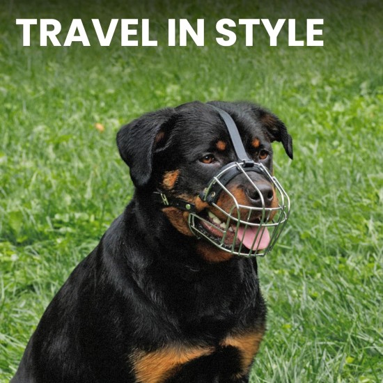 BRONZEDOG Dog Muzzle Adjustable Robust PVC/Metal Wire Basket for Large and Very Large Dogs with Leather Straps Breathable, Drinkable, Training, Prevents Biting (Great Dane, Stainless Steel) BRONZEDOG Dog Muzzle Adjustable Robust PVC/Metal Wire Basket for Large and Very Large Dogs with Leather Straps Breathable, Drinkable, Training, Prevents Biting (Great Dane, Stainless Steel)