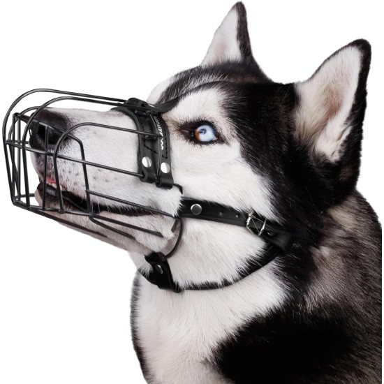 BRONZEDOG Dog Muzzle Adjustable Robust PVC/Metal Wire Basket for Large and Very Large Dogs with Leather Straps Breathable, Drinkable, Training, Prevents Biting (Great Dane, Stainless Steel) BRONZEDOG Dog Muzzle Adjustable Robust PVC/Metal Wire Basket for Large and Very Large Dogs with Leather Straps Breathable, Drinkable, Training, Prevents Biting (Great Dane, Stainless Steel)