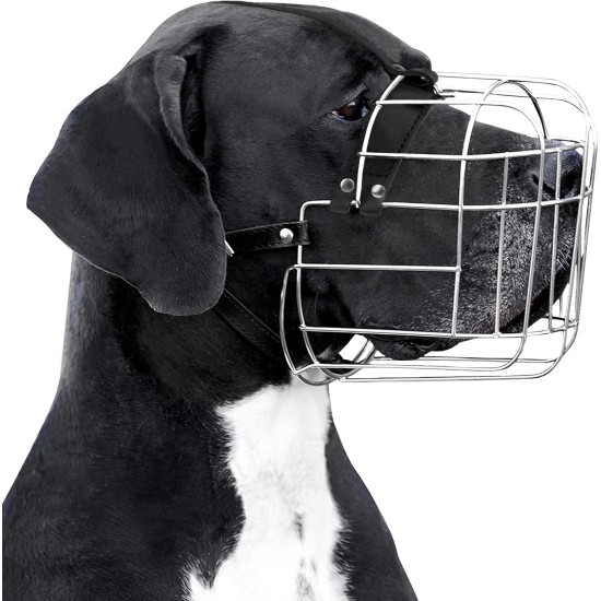BRONZEDOG Dog Muzzle Adjustable Robust PVC/Metal Wire Basket for Large and Very Large Dogs with Leather Straps Breathable, Drinkable, Training, Prevents Biting (Great Dane, Stainless Steel)