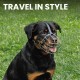 BRONZEDOG Dog Muzzle Adjustable Robust PVC/Metal Wire Basket for Large and Very Large Dogs with Leather Straps Breathable, Drinkable, Training, Prevents Biting (Rottweiler, PVC) BRONZEDOG Dog Muzzle Adjustable Robust PVC/Metal Wire Basket for Large and Very Large Dogs with Leather Straps Breathable, Drinkable, Training, Prevents Biting (Rottweiler, PVC)