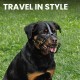 BRONZEDOG Dog Muzzle Adjustable Robust PVC/Metal Wire Basket for Large and Very Large Dogs with Leather Straps Breathable, Drinkable, Training, Prevents Biting (Rottweiler, PVC) BRONZEDOG Dog Muzzle Adjustable Robust PVC/Metal Wire Basket for Large and Very Large Dogs with Leather Straps Breathable, Drinkable, Training, Prevents Biting (Rottweiler, PVC)