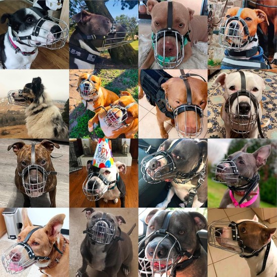 BRONZEDOG Dog Muzzle Metal Mask for Amstaff Pitbull Adjustable Leather Straps for Large Dogs, Brown (Pink, One Size) BRONZEDOG Dog Muzzle Metal Mask for Amstaff Pitbull Adjustable Leather Straps for Large Dogs, Brown (Pink, One Size)