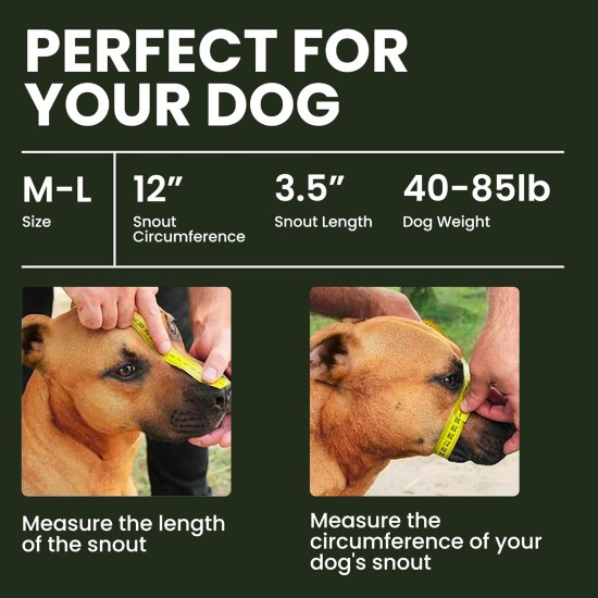BRONZEDOG Dog Muzzle Wire Basket Metal Mask for Small, Medium and Large Dogs, Breathable, Dog Can Drink, Adjustable, Padded, Training, Prevents Biting (Size 2: Jack Russell Terrier) BRONZEDOG Dog Muzzle Wire Basket Metal Mask for Small, Medium and Large Dogs, Breathable, Dog Can Drink, Adjustable, Padded, Training, Prevents Biting (Size 2: Jack Russell Terrier)