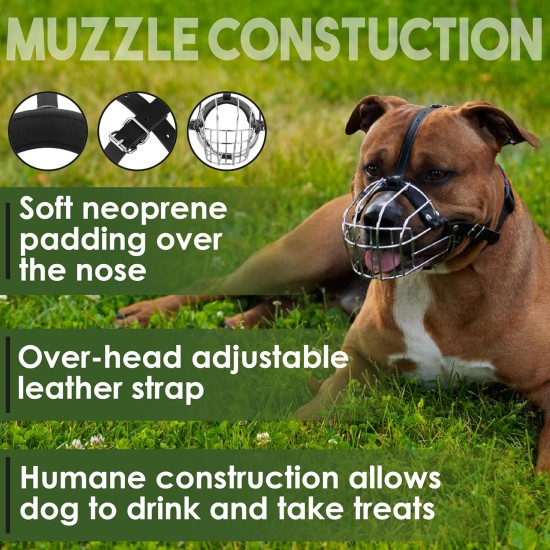 BRONZEDOG Dog Muzzle Wire Basket Metal Mask for Small, Medium and Large Dogs, Breathable, Dog Can Drink, Adjustable, Padded, Training, Prevents Biting (Size 2: Jack Russell Terrier) BRONZEDOG Dog Muzzle Wire Basket Metal Mask for Small, Medium and Large Dogs, Breathable, Dog Can Drink, Adjustable, Padded, Training, Prevents Biting (Size 2: Jack Russell Terrier)