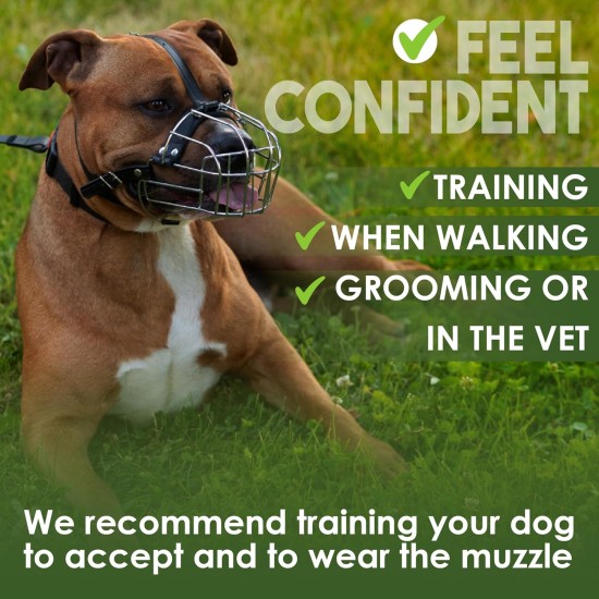 BRONZEDOG Dog Muzzle Wire Basket Metal Mask for Small, Medium and Large Dogs, Breathable, Dog Can Drink, Adjustable, Padded, Training, Prevents Biting (Size 2: Jack Russell Terrier) BRONZEDOG Dog Muzzle Wire Basket Metal Mask for Small, Medium and Large Dogs, Breathable, Dog Can Drink, Adjustable, Padded, Training, Prevents Biting (Size 2: Jack Russell Terrier)