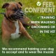 BRONZEDOG Dog Muzzle Wire Basket Metal Mask for Small, Medium and Large Dogs, Breathable, Dog Can Drink, Adjustable, Padded, Training, Prevents Biting (Size 2: Jack Russell Terrier)