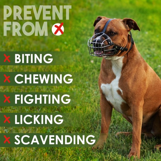 BRONZEDOG Dog Muzzle Wire Basket Metal Mask for Small, Medium and Large Dogs, Breathable, Dog Can Drink, Adjustable, Padded, Training, Prevents Biting (Size 2: Jack Russell Terrier) BRONZEDOG Dog Muzzle Wire Basket Metal Mask for Small, Medium and Large Dogs, Breathable, Dog Can Drink, Adjustable, Padded, Training, Prevents Biting (Size 2: Jack Russell Terrier)