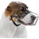 BRONZEDOG Dog Muzzle Wire Basket Metal Mask for Small, Medium and Large Dogs, Breathable, Dog Can Drink, Adjustable, Padded, Training, Prevents Biting (Size 2: Jack Russell Terrier)