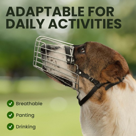 BRONZEDOG Dog Muzzle Wire Basket Metal Mask for Small, Medium and Large Dogs, Breathable, Dog Can Drink, Adjustable, Padded, Training, Prevents Biting (Size 2: Jack Russell Terrier) BRONZEDOG Dog Muzzle Wire Basket Metal Mask for Small, Medium and Large Dogs, Breathable, Dog Can Drink, Adjustable, Padded, Training, Prevents Biting (Size 2: Jack Russell Terrier)