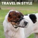 BRONZEDOG Dog Muzzle Wire Basket Metal Mask for Small, Medium and Large Dogs, Breathable, Dog Can Drink, Adjustable, Padded, Training, Prevents Biting (Size 2: Jack Russell Terrier)