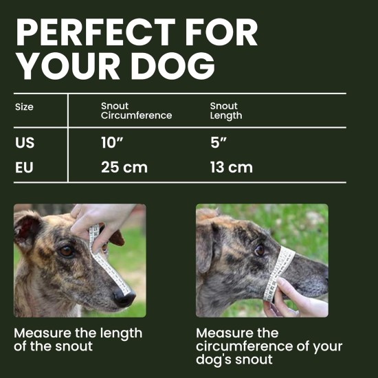 BRONZEDOG Dog Muzzle Wire Basket Metal Mask for Small, Medium and Large Dogs, Breathable, Dog Can Drink, Adjustable, Padded, Training, Prevents Biting (Size 2: Jack Russell Terrier) BRONZEDOG Dog Muzzle Wire Basket Metal Mask for Small, Medium and Large Dogs, Breathable, Dog Can Drink, Adjustable, Padded, Training, Prevents Biting (Size 2: Jack Russell Terrier)