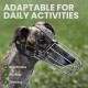 BRONZEDOG Dog Muzzle Wire Basket Metal Mask for Small, Medium and Large Dogs, Breathable, Dog Can Drink, Adjustable, Padded, Training, Prevents Biting (Size 2: Jack Russell Terrier)