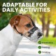 BRONZEDOG Dog Muzzle Wire Basket Metal Mask for Small, Medium and Large Dogs, Breathable, Dog Can Drink, Adjustable, Padded, Training, Prevents Biting (Size 2: Jack Russell Terrier)