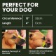 BRONZEDOG Dog Muzzle Wire Basket Metal Mask for Small, Medium and Large Dogs, Breathable, Dog Can Drink, Adjustable, Padded, Training, Prevents Biting (Size 2: Jack Russell Terrier)