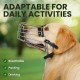 BRONZEDOG Dog Muzzle Wire Basket Metal Mask for Small, Medium and Large Dogs, Breathable, Dog Can Drink, Adjustable, Padded, Training, Prevents Biting (Size 2: Jack Russell Terrier)