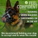 BRONZEDOG Dog Muzzle Wire Basket Metal Mask for Small, Medium and Large Dogs, Breathable, Dog Can Drink, Adjustable, Padded, Training, Prevents Biting (Size 2: Jack Russell Terrier)