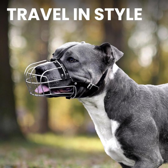 BRONZEDOG Metal Dog Muzzle - Amstaff Wire Basket with Adjustable Leather Straps for Large Dogs BRONZEDOG Metal Dog Muzzle - Amstaff Wire Basket with Adjustable Leather Straps for Large Dogs