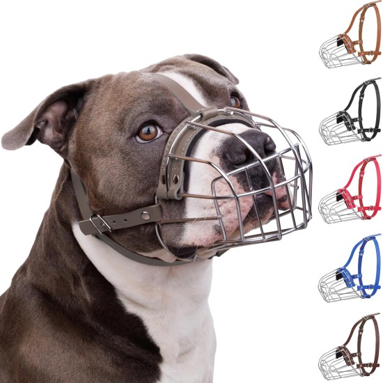 BRONZEDOG Pitbull Dog Muzzle Breathable Metal Basket for Large Dogs Amstaff Staffordshire Terrier Biting Chewing Barking (Grey) BRONZEDOG Pitbull Dog Muzzle Breathable Metal Basket for Large Dogs Amstaff Staffordshire Terrier Biting Chewing Barking (Grey)