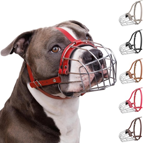 BRONZEDOG Pitbull Dog Muzzle Breathable Metal Basket for Large Dogs Amstaff Staffordshire Terrier Biting Chewing Barking (Grey) BRONZEDOG Pitbull Dog Muzzle Breathable Metal Basket for Large Dogs Amstaff Staffordshire Terrier Biting Chewing Barking (Grey)