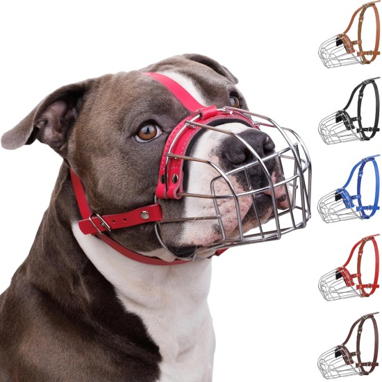 BRONZEDOG Pitbull Dog Muzzle Breathable Metal Basket for Large Dogs Amstaff Staffordshire Terrier Biting Chewing Barking (Grey) BRONZEDOG Pitbull Dog Muzzle Breathable Metal Basket for Large Dogs Amstaff Staffordshire Terrier Biting Chewing Barking (Grey)
