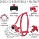 BRONZEDOG Pitbull Dog Muzzle Breathable Metal Basket for Large Dogs Amstaff Staffordshire Terrier Biting Chewing Barking (Grey) BRONZEDOG Pitbull Dog Muzzle Breathable Metal Basket for Large Dogs Amstaff Staffordshire Terrier Biting Chewing Barking (Grey)