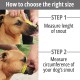 BRONZEDOG Pitbull Dog Muzzle Breathable Metal Basket for Large Dogs Amstaff Staffordshire Terrier Biting Chewing Barking (Grey) BRONZEDOG Pitbull Dog Muzzle Breathable Metal Basket for Large Dogs Amstaff Staffordshire Terrier Biting Chewing Barking (Grey)