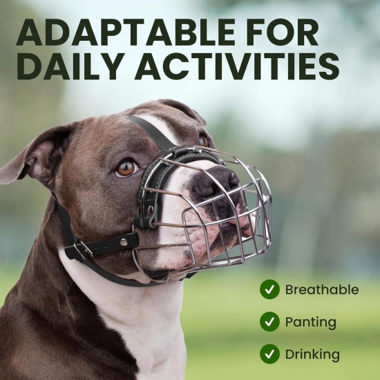 BRONZEDOG Pitbull Dog Muzzle Breathable Metal Basket for Large Dogs Amstaff Staffordshire Terrier Biting Chewing Barking (Grey) BRONZEDOG Pitbull Dog Muzzle Breathable Metal Basket for Large Dogs Amstaff Staffordshire Terrier Biting Chewing Barking (Grey)