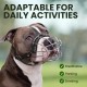 BRONZEDOG Pitbull Dog Muzzle Breathable Metal Basket for Large Dogs Amstaff Staffordshire Terrier Biting Chewing Barking (Grey) BRONZEDOG Pitbull Dog Muzzle Breathable Metal Basket for Large Dogs Amstaff Staffordshire Terrier Biting Chewing Barking (Grey)