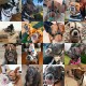 BRONZEDOG Pitbull Dog Muzzle Breathable Metal Basket for Large Dogs Amstaff Staffordshire Terrier Biting Chewing Barking (Grey) BRONZEDOG Pitbull Dog Muzzle Breathable Metal Basket for Large Dogs Amstaff Staffordshire Terrier Biting Chewing Barking (Grey)