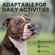 BRONZEDOG Pitbull Dog Muzzle Breathable Metal Basket for Large Dogs Amstaff Staffordshire Terrier Biting Chewing Barking (Grey) BRONZEDOG Pitbull Dog Muzzle Breathable Metal Basket for Large Dogs Amstaff Staffordshire Terrier Biting Chewing Barking (Grey)