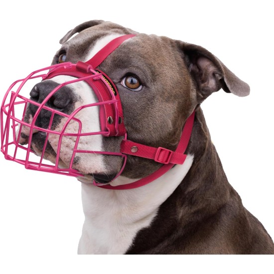 BRONZEDOG Pitbull Dog Muzzle Breathable Metal Basket for Large Dogs, Amstaff Staffordshire Terrier, Bite, Chew, Barking Nylon (Black, One Size) BRONZEDOG Pitbull Dog Muzzle Breathable Metal Basket for Large Dogs, Amstaff Staffordshire Terrier, Bite, Chew, Barking Nylon (Black, One Size)